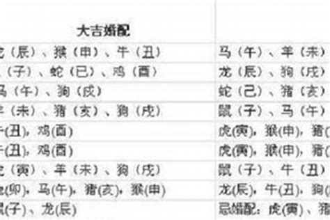 1997属什么|1997年属牛的最佳配偶 97年属牛的和什么属相最配